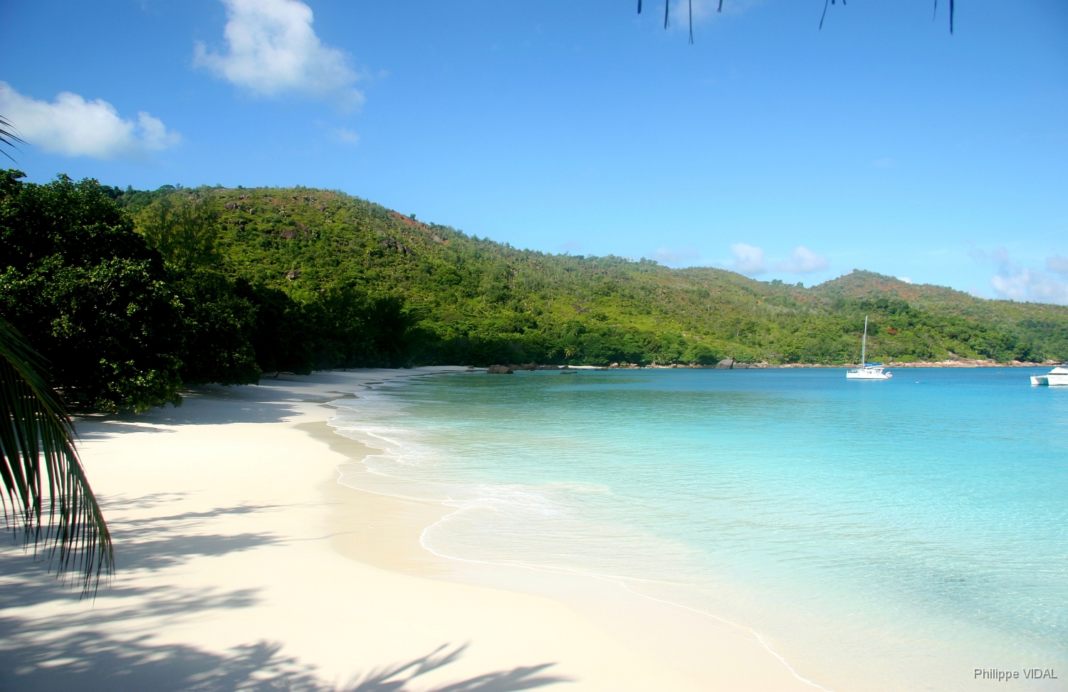 IMG_2256_rf_PRASLIN_ANSE LAZIO.jpg